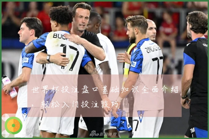 世界杯投注盘口基础知识全面介绍，轻松入门投注技巧