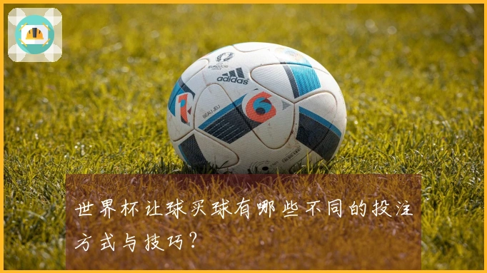 世界杯让球买球有哪些不同的投注方式与技巧？